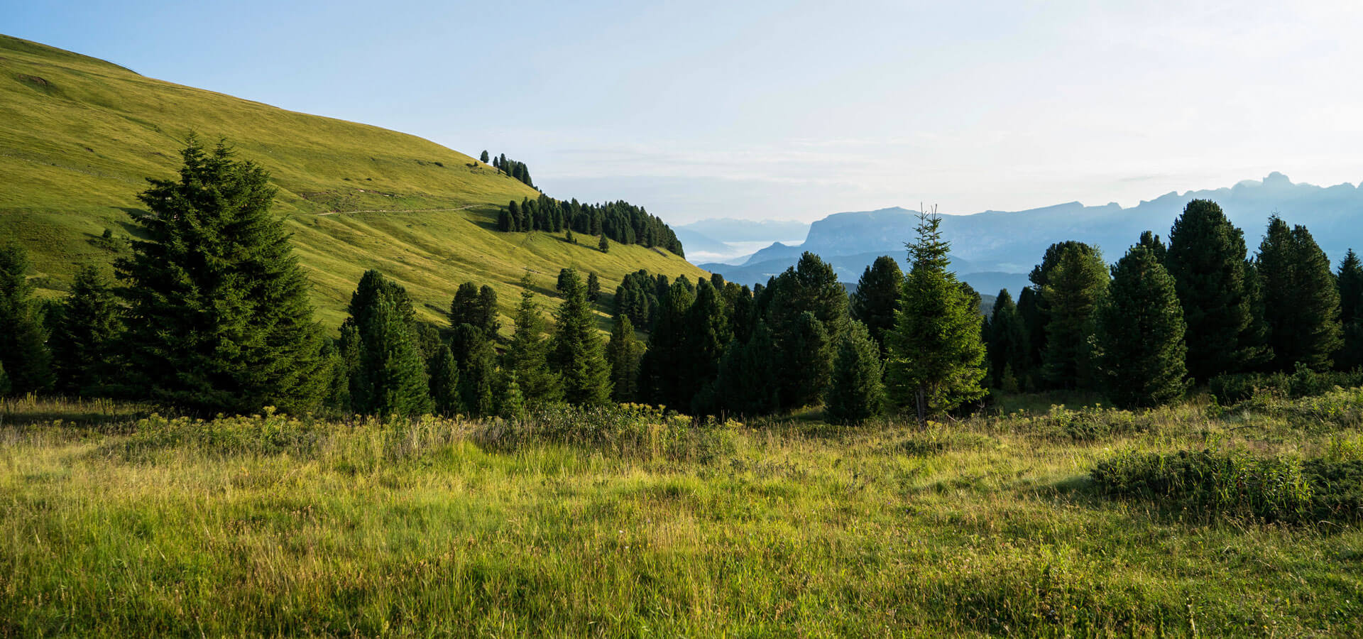 Ferien in Lüsen - Südtirol