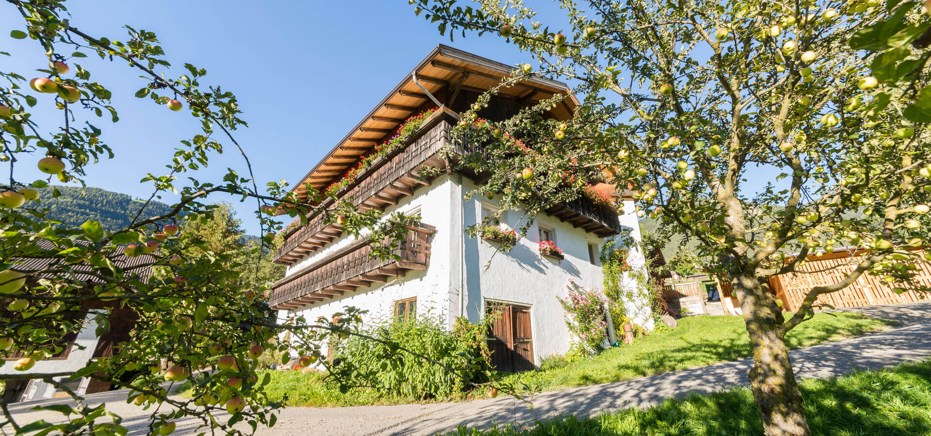 pardellerhof lüsen eisacktal südtirol