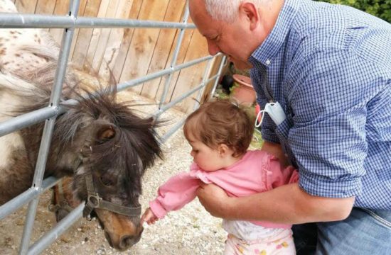 pardellerhof-unsere-tiere (12)