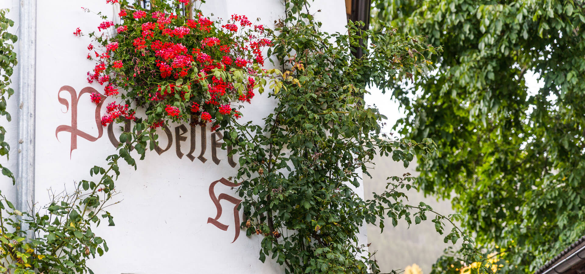 Urlaub auf dem Bauernhof - Lüsen / Südtirol