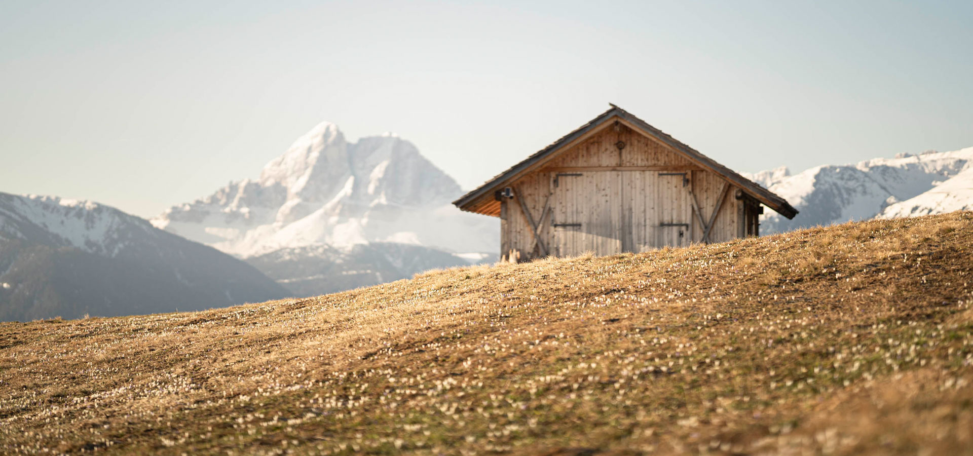 Frühling in Lüsen / Südtirol
